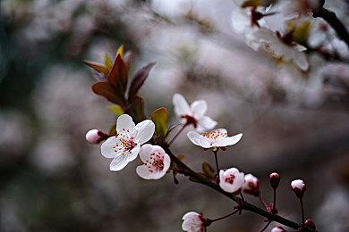 《灵魂骇客2》正式公布 登陆PC和新旧主机